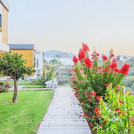 Luxury In Marina With Pool